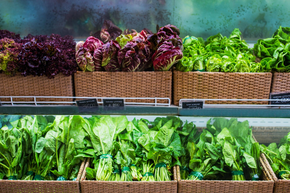 How Hydroponics Can Solve Food Shortage in Urban Areas