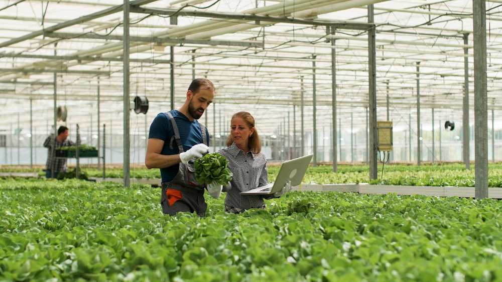 Smart Farming for Smart Cities: Integrating IoT with Urban Agriculture